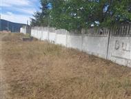 ���������: ���������������� �������� 2355 �, ��,���� ���������������� �������� ������� ����������� ������ �������� 2355 �. �� �� 110 ������ � ����������� ������ 