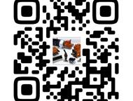 ���������: ������ ������ Komatsu, ������ ������ �� ������� ��������������� ������������ ������� ������������, ������������ � ��������������������. ������ ��� ���