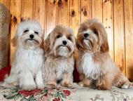 ������: ����� �������� f1 �������� f1 ����  � ����� ��������� �� ������ ����� ��� ����� 10. 05. 25 � 23. 05. 25  ��� ������� ����� ����� �� 2. 8��  ��� ����