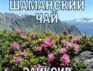 ������: ��������� � �������������� ������ ProGynuru � ���� ����������� �������� ��� �������� � ������� �Tropical life � �������� �������: ��������� �� �������