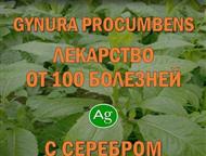 ��������� � �������������� ������ ProGynuru � ���� ����������� �������� ��� �������� � ������� �Tropical life � �������� �������: ��������� �� �������, ������ - �������� ���������