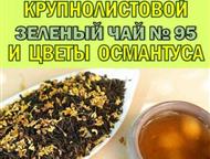 ������: ��������� � �������������� ������ ProGynuru � ���� ����������� �������� ��� �������� � ������� �Tropical life � �������� �������: ��������� �� �������