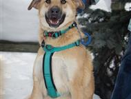 ������: �������� ���������� ���� ��� � ������� �����! � ������ ����, ������ � �������.   ����������, 4, 5 ����.   �� ���������� ����� ���� � ����� ��� ���� ��