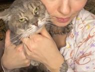 ������: �������������� ����������� ������� ����� ��� �� ����� ����, ������ ��������� �� ��������� ����������.   ���� ������ �������� ����.   �� ��������, ����