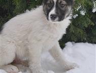 ���� ������������� �������� ���� ���, #������ , ������ � ������� ������  �� �����-������� ����� �����, � ������ ��� �������� ���, �� �������� ����� ��, ������ - ����� �����