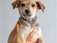 ������: ������� �������� ������ ���� ���, �� �������. ������ ������, ������� ����� ����� ���� �������.   ����� �������, �������, �������� � ���������� �������