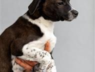 ������: ������� �������� ������ ���� ���, �� �������. ������ ������, ������� ����� ����� ���� �������.   ����� �������, �������, �������� � ���������� �������