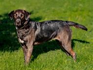 ������: �������� ������� ��������� ���� ���, ������ 1 ���. �������������, �������, ����������. ����� �� ���������� � �����, ��� ��� 2 ������, � �������� ��� �