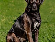 �������� ������� ��������� ���� ���, ������ 1 ���. �������������, �������, ����������. ����� �� ���������� � �����, ��� ��� 2 ������, � �������� ��� �, ������ - ����� �����