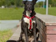 �����, ��������� ������ ��� ��������! ������ � ��. ���� ������� - ��� ������, � ������� �����.   ��� �������. ��� �������������. ��� ���, � ��� ��� ��, ������ - ����� �����! ����� � ���!