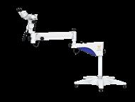 ������: ���������� ����������� � ������������� CADUCEUS DETECTION SVL ���������� ����������� � ������������� CADUCEUS DETECTION SVL � ���������������� � �����