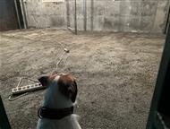 ������: ���������� ����� ����� ���������������� �250 ���������� �� ������ ����� ����� ���������������� � ��� ����������������� ��������,   ������������� �� ��