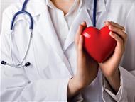          , . : 89306791812 : 89306791812   ,    . ,  -    - 