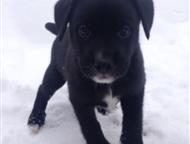 :        , 3 , 1 ,   15. 12. 17