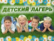          :             ,  -  - 