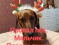 ������ ��, ����� ❗️��������� ���.   �������. ������ �������. ������ �����. ������ � ������ ��� �����. ����� ��� ���� � ������ �, ��������� - ����������