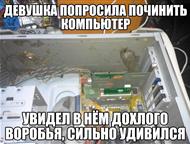 ���������: ������������ ������, ���������,�����������,������ ���������, ������� � ��. �� ��������, ��������, ���� ����� ������ � �. �. , - �������, ������� ��